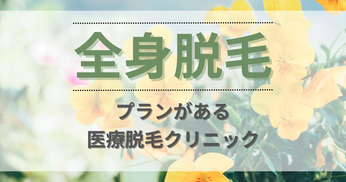 全身脱毛プランがある医療脱毛クリニック