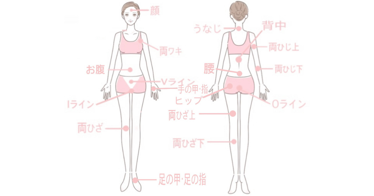 あおばクリニックの脱毛可能部位