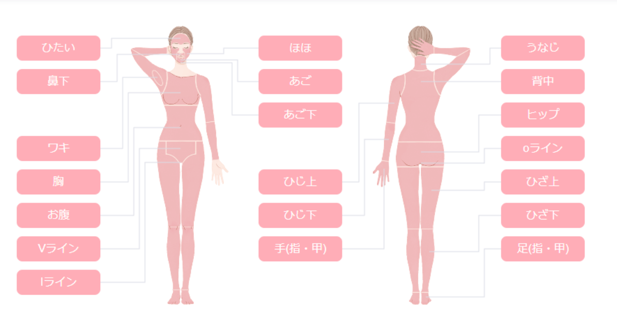 ジュノビューティークリニックの脱毛可能部位