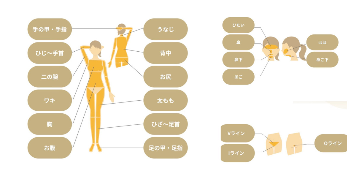 リゼクリニックの脱毛可能部位